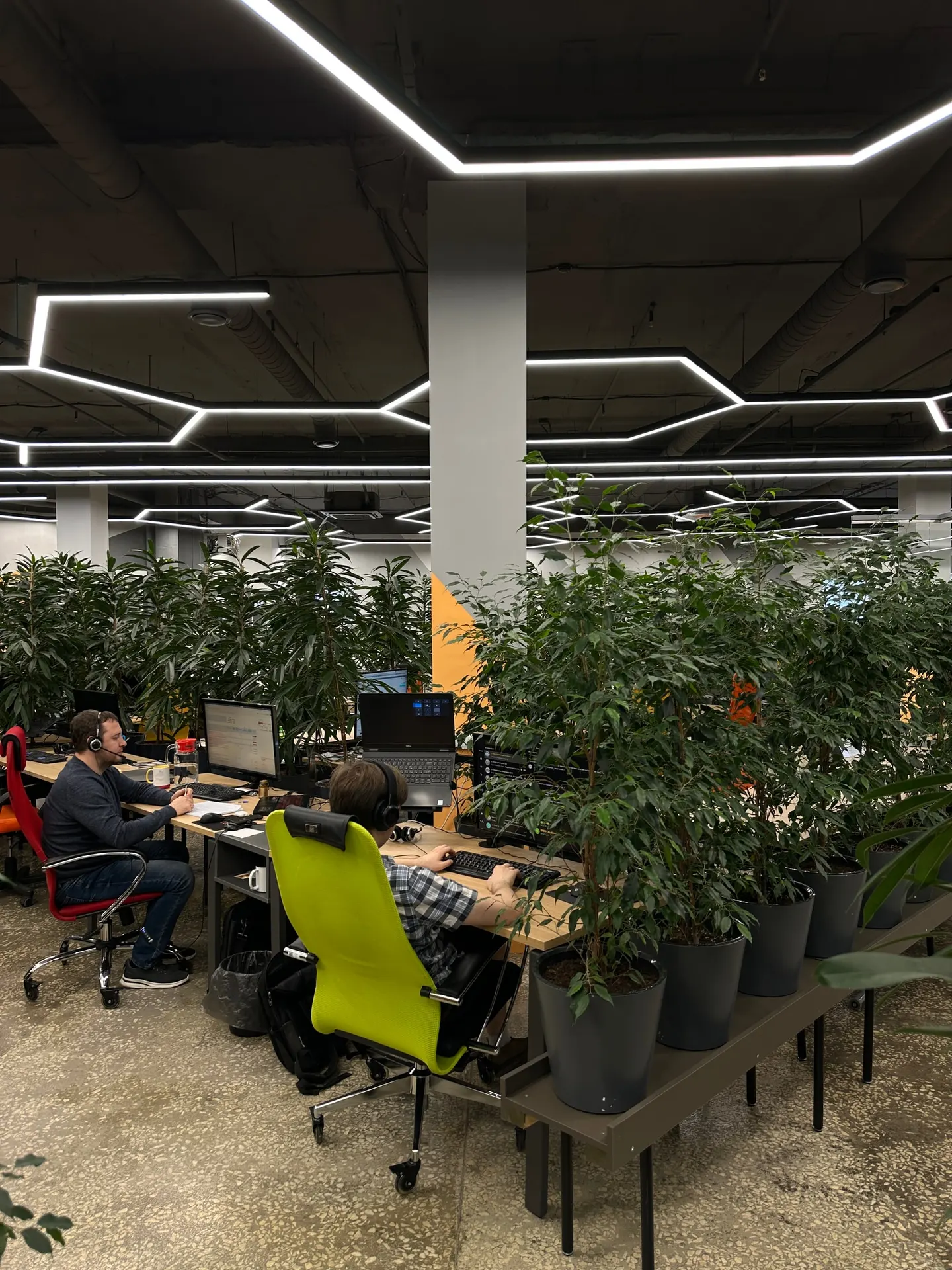 Сотрудники KT.Team работают в зелёном открытом офисе